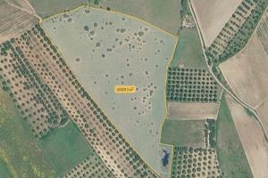 Terreno agricolo
