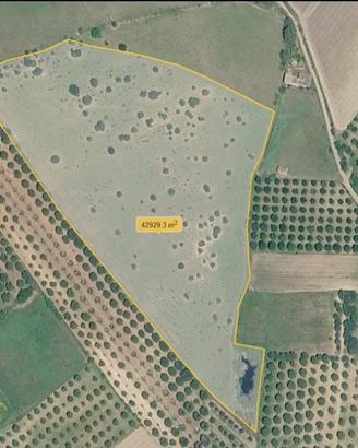 Terreno agricolo
