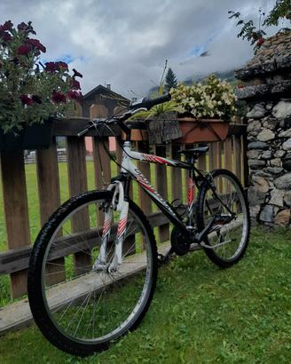 Bicicletta montana