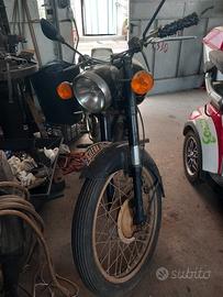 Gilera Altro modello - 1953