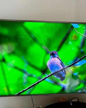 Smart TV Samsung 55" 4K UE55RU7450 + Staffa Muro