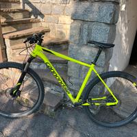 Cannondale Trail