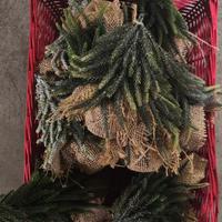 decorazioni natalizie