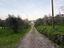 Immagine 12