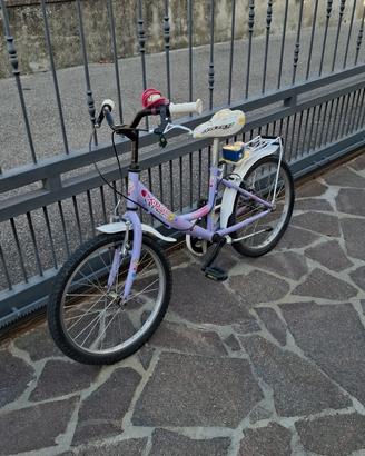 bicicletta