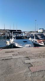 barca iride 6.4