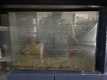 Acquario 45L