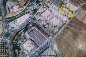 Ampio terreno per attivita'