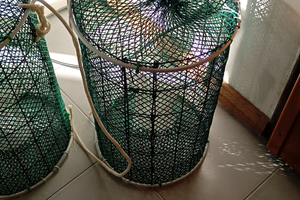 Nasse specifiche per polpi