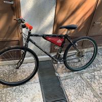 Mountain bike uomo
