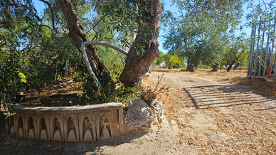 Vendita terreno e casetta di campagna
