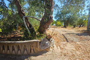 Vendita terreno e casetta di campagna