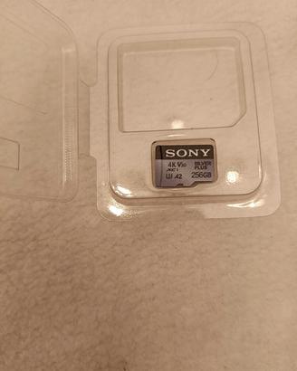 micro sd sony silver plus 256gb