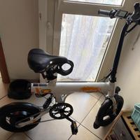 Bici elettrica