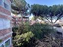 appartamento-roma-cod-rif-3294862arg-