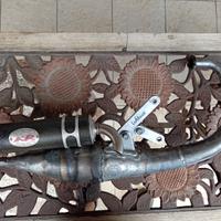 marmitta Leo vince rr perfetta 