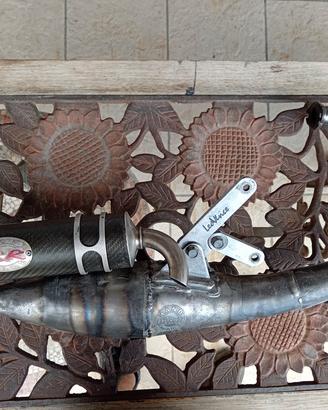 marmitta Leo vince rr perfetta 