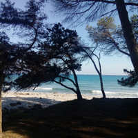 Casa con giardino zona orosei estate 2026