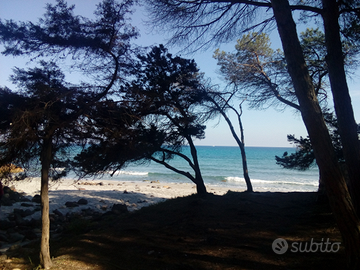 Casa con giardino zona orosei estate 2026
