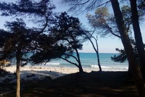 Casa con giardino zona orosei estate 2026