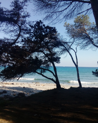 Casa con giardino zona orosei estate 2026