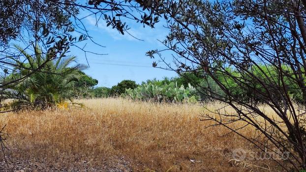 Zona Su Pezzu Mannu - Terreno agricolo