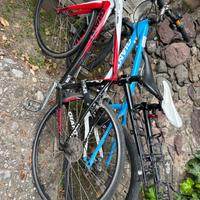 Bici da corsa e mountainbike