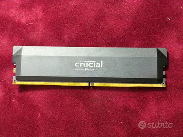 RAM DDR5 Crucial Pro 16GB 6000MHz CL36