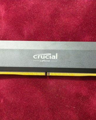 RAM DDR5 Crucial Pro 16GB 6000MHz CL36