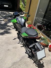 Portatarga z650