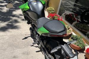 Portatarga z650