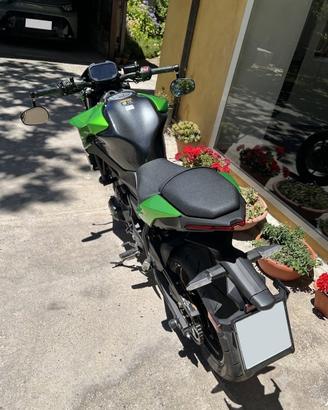 Portatarga z650
