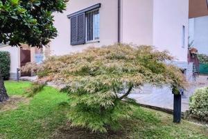 Villa di 195 m² con 5 locali e box auto a Cologno 