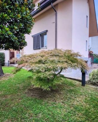 Villa di 195 m² con 5 locali e box auto a Cologno 