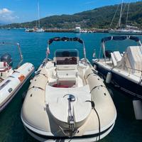 Gommone Mariner Shogun 750 del 2011