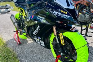 Kawasaki zx-10r ninja 1000