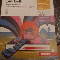 libro gli istanti più belli 