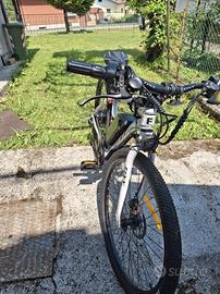 Bicicletta Elettrica 