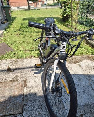 Bicicletta Elettrica 