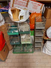 GABBIE PER UCCELLI A PARTIRE DA 10 EURO