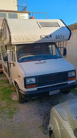 Fiat Ducato 19D koala