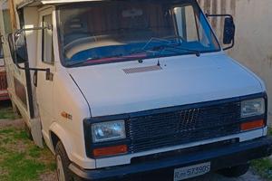 Fiat Ducato 19D koala