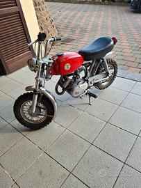 Moto Beta Boy 4 marce