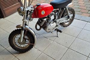 Moto Beta Boy 4 marce