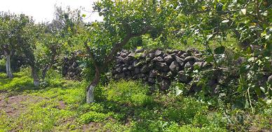 Terreno - Fiumefreddo di Sicilia