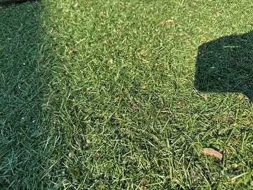 Erba sintetiva limonta sport
