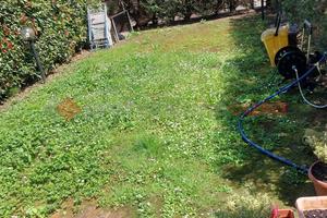 Appartamento Empoli [1/0421VRG]