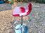 Immagine 2
