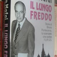 Il lungo freddo