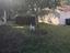 Immagine 14